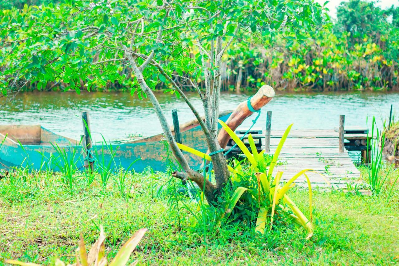 Pousada Mangue Seco อิเตานัส ภายนอก รูปภาพ