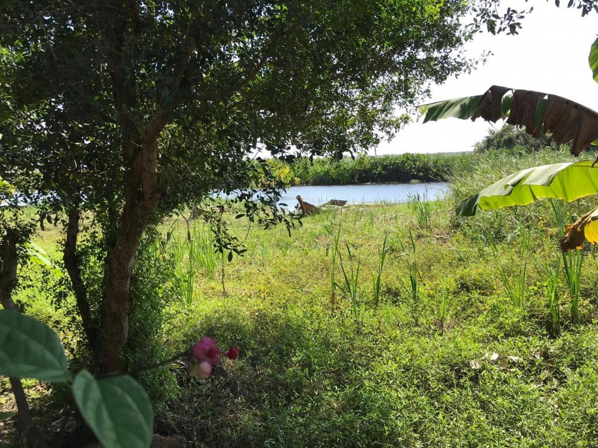 Pousada Mangue Seco อิเตานัส ภายนอก รูปภาพ